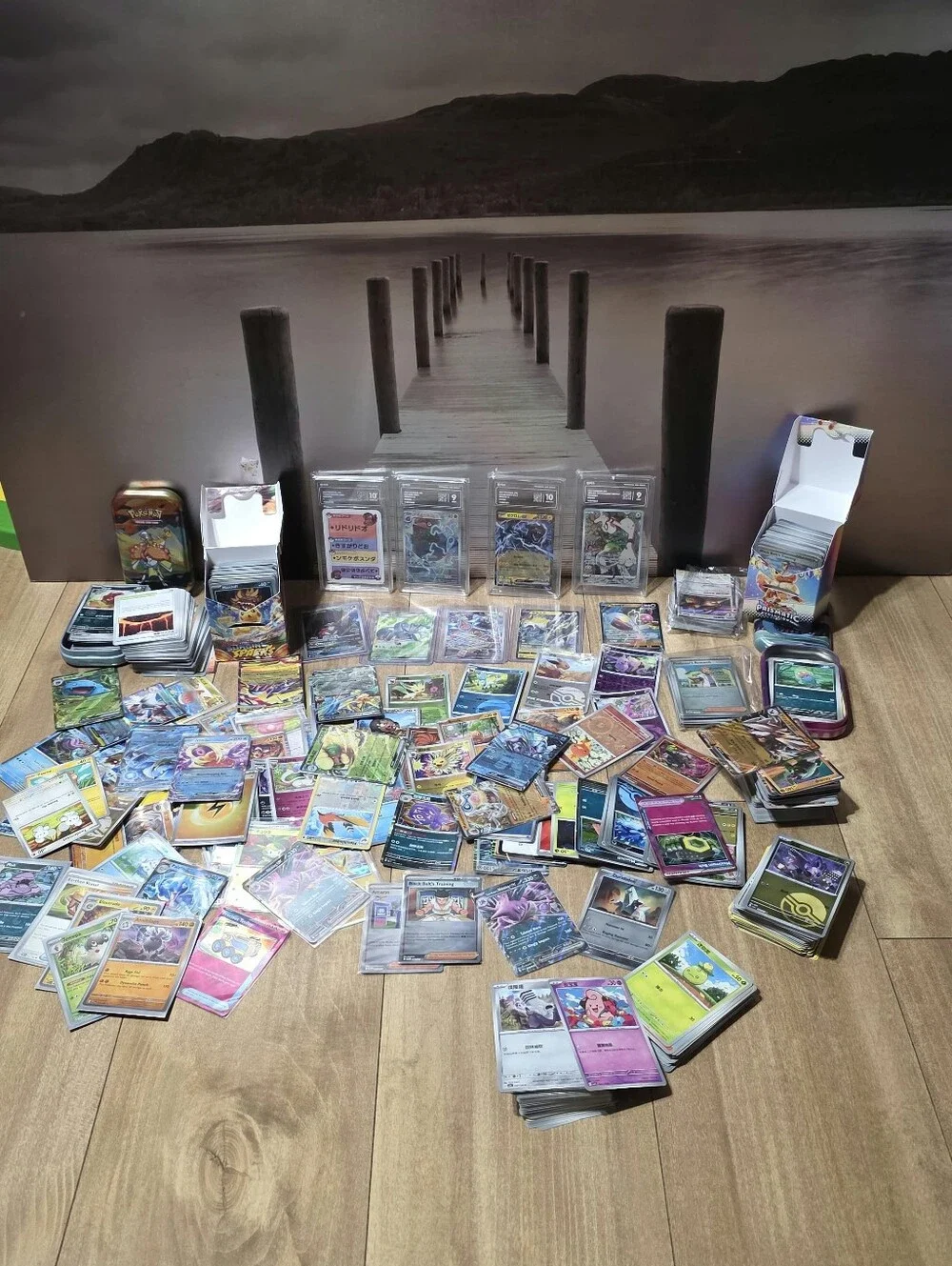 Pokemon large lot